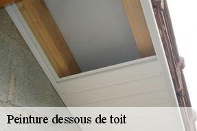 Peinture dessous de toit  94110