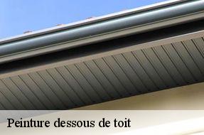 Peinture dessous de toit  94110