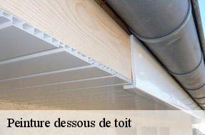 Peinture dessous de toit  94000