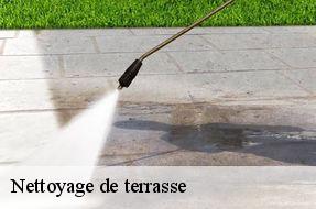 Nettoyage de terrasse  94480