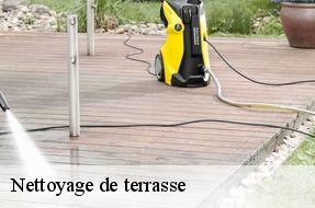 Nettoyage de terrasse  94480