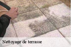 Nettoyage de terrasse  94120