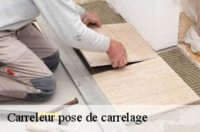 Carreleur pose de carrelage  94480