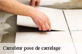 Carreleur pose de carrelage  94110