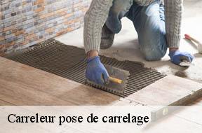 Carreleur pose de carrelage  94110